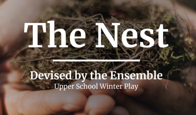 US Winter Play, The Nest