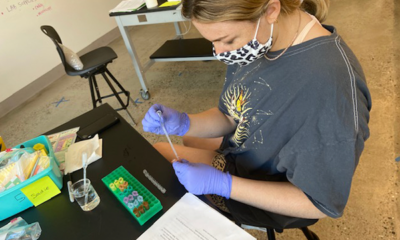 BVR academics: Using immunoassay testing for the presence of antibodies in a simulated viral study.