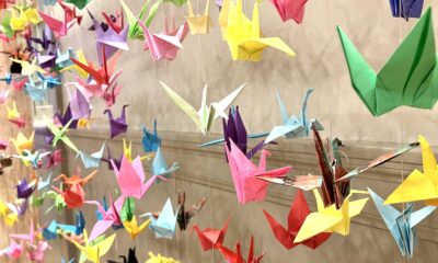 Paper cranes in memory of Joe Christy