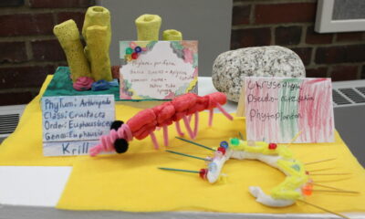 A few of the ocean critters in the science wing