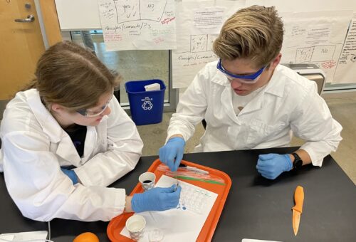 Organic Chemistry students investigate vitamin C