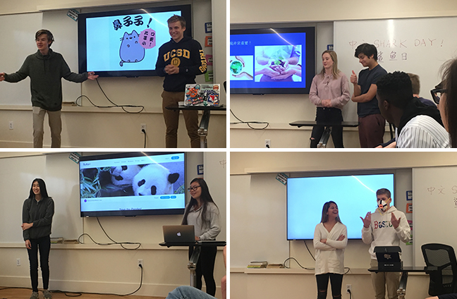 Chinese Shark Day Projects