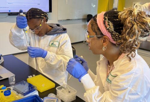Advanced Biology students explore gene editing techniques